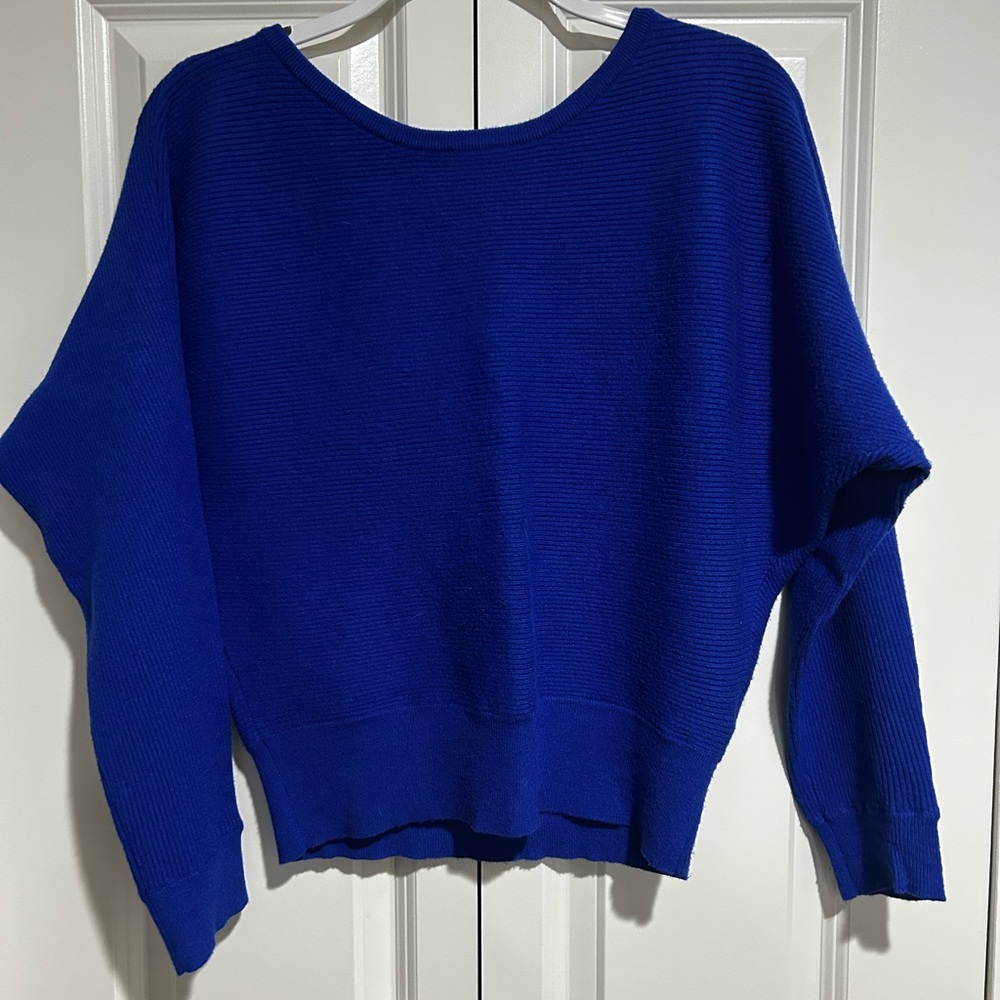 Express royal blue sweater